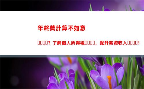 來一份預估！計算你的個稅退稅，輕松領回每年萬千稅金！